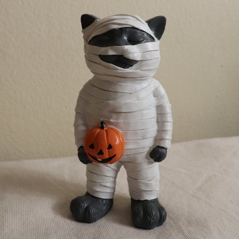Mummy Cat
